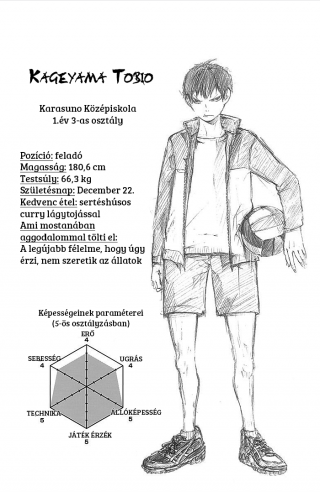 Haikyuu!! - Kageyama Tobio